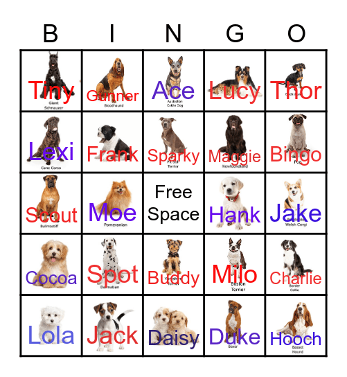 Dog Breeds Bingo Card