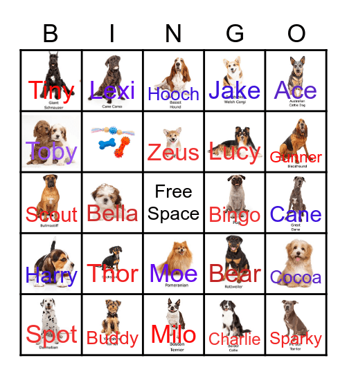 Dog Breeds Bingo Card