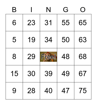 Harry potter and the chamber of bingo Card