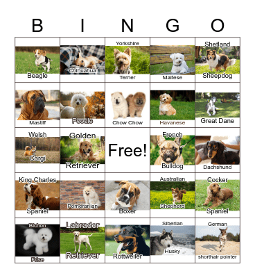 National Dog Day Bingo Card