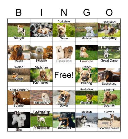 National Dog Day Bingo Card