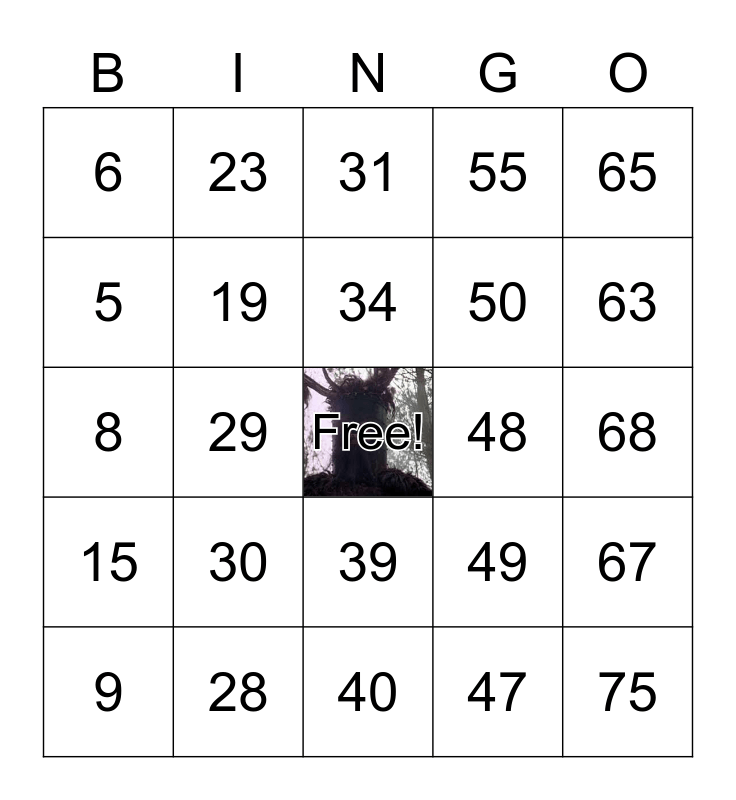 Monty python and the Holy Bingo Card