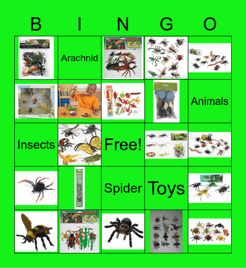 Insect toy Bingo Card