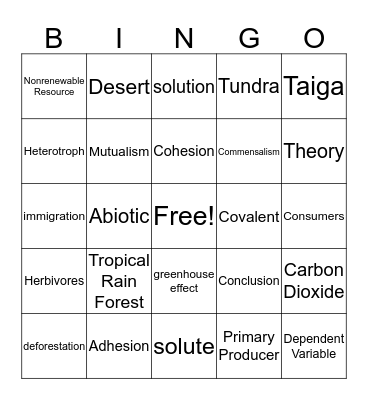 Midterm Review Bingo Card