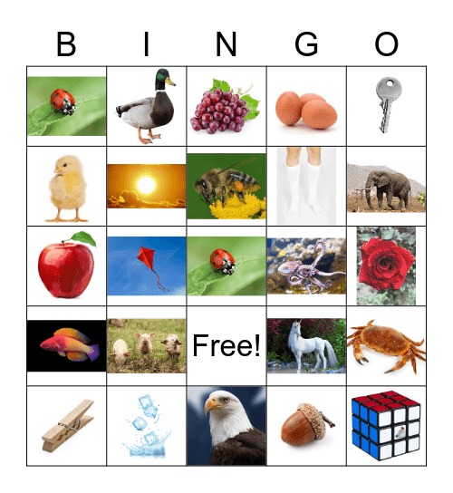 short and long vowels Bingo Card