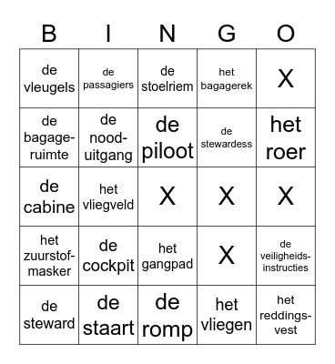 vliegtuig Bingo Card