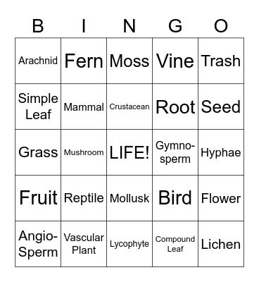 Diversity Bingo Card