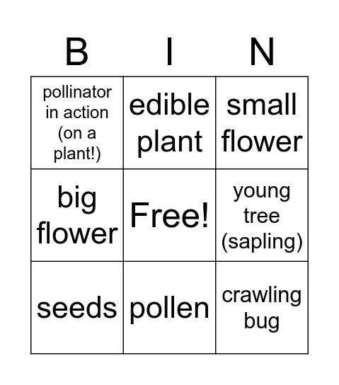 Native Plants and Bugs Bingo Card