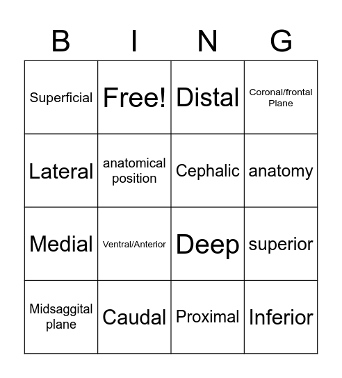 Directional Terminology Bingo Card
