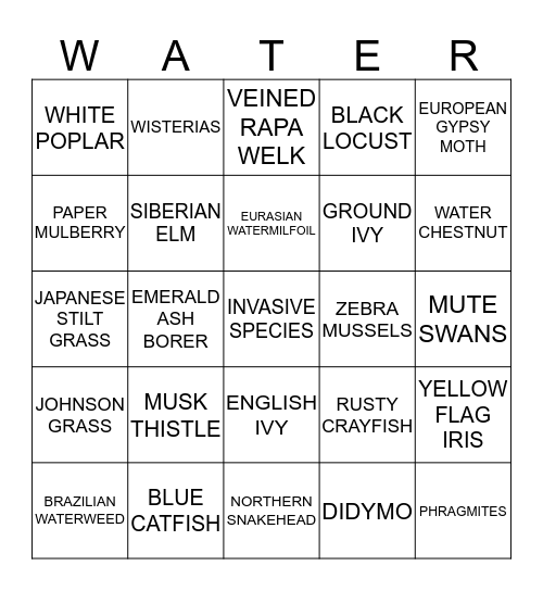 WATER Bingo Card