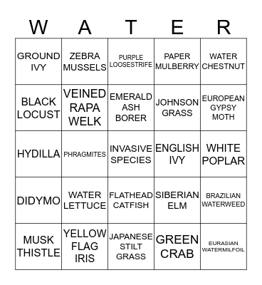 WATER Bingo Card