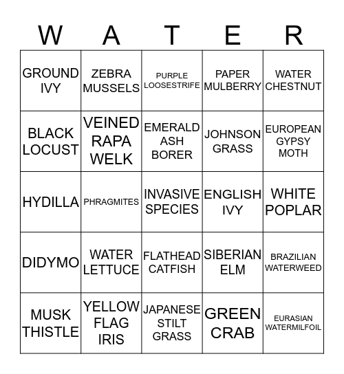 WATER Bingo Card