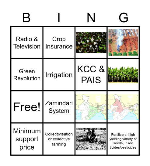 CLASS X CHAPTER  4-AGRICULTURE Bingo Card
