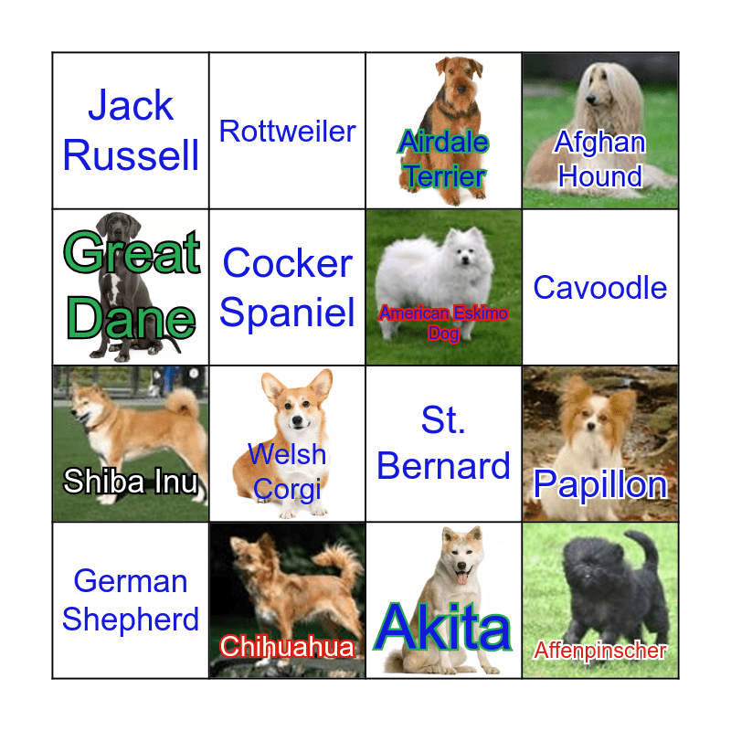 DOG BREEDS Bingo Card