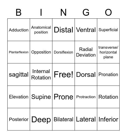 Anatomical Directions/Movements Bingo Card