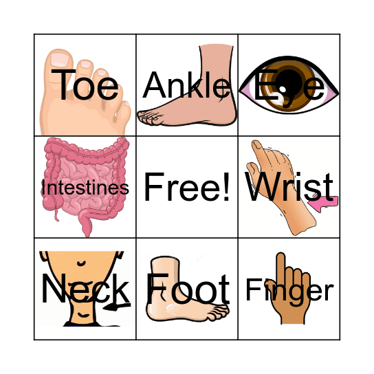 The Human Body Bingo Card