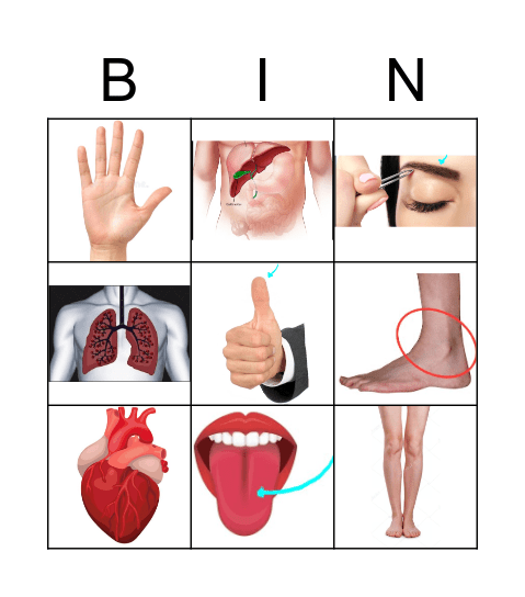 The Body Bingo Card