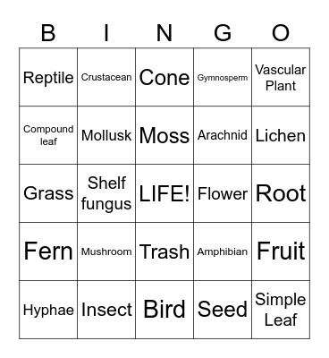 Diversity Bingo Card