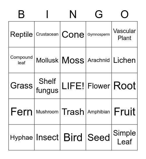 Diversity Bingo Card