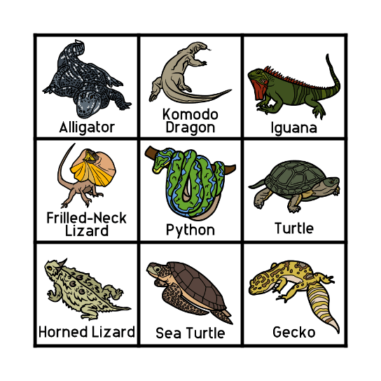 Reptile Bingo! Bingo Card