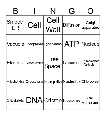 Cells Function and Structure!! Bingo Card
