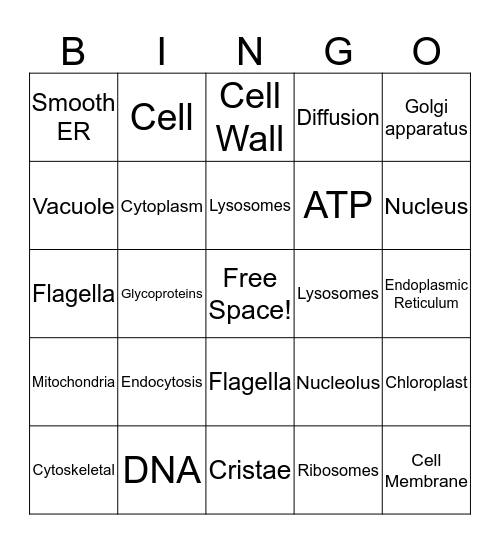 Cells Function and Structure!! Bingo Card