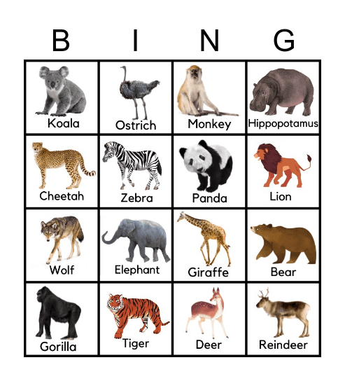 ZOO Bingo Card