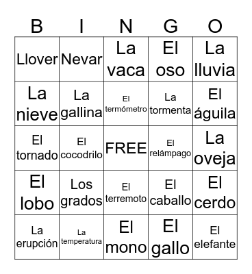 Spanish 2 Chapter 8 Bingo C Bingo Card