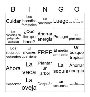 Spanish 2 Chapter 8 Bingo D Bingo Card