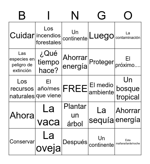 Spanish 2 Chapter 8 Bingo D Bingo Card