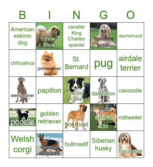 DOG   BREEDS Bingo Card