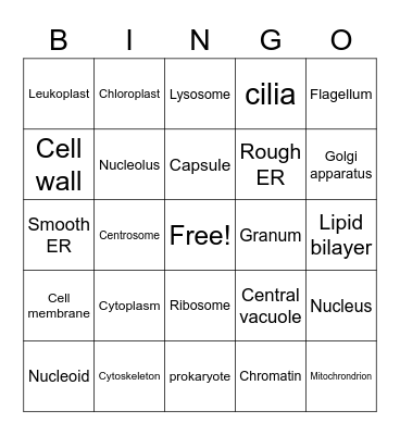 Cells! Bingo Card