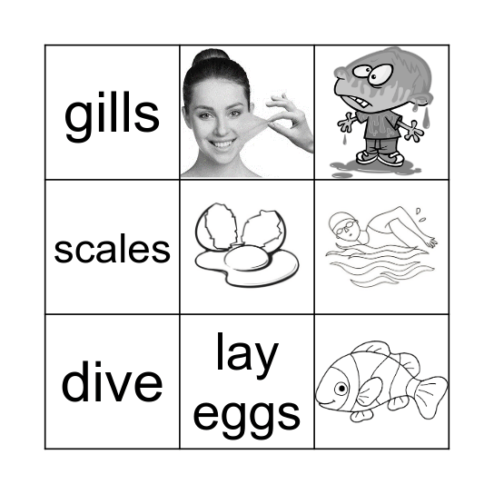 Scales and Shells Bingo Card