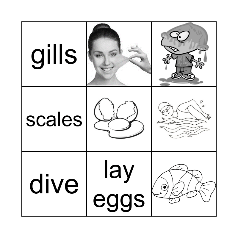 Scales and Shells Bingo Card
