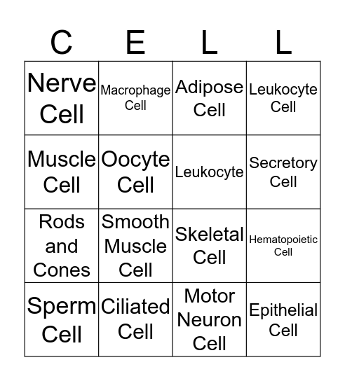 Specialized Cell Bingo Card