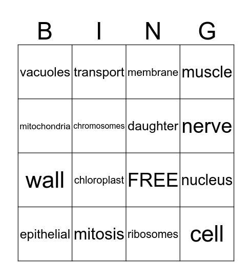 Vocabulary Bingo  Bingo Card