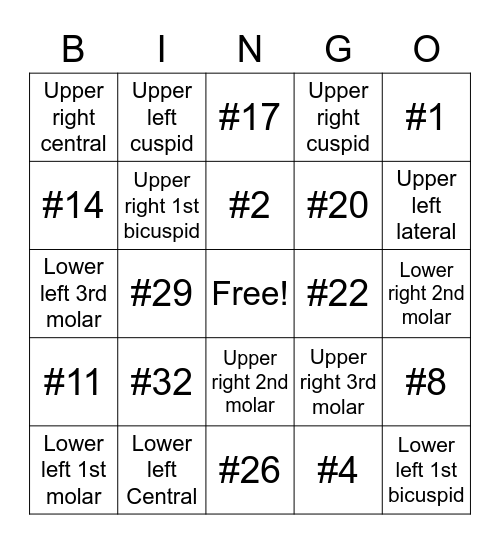 TEETH NUMBERS Bingo Card