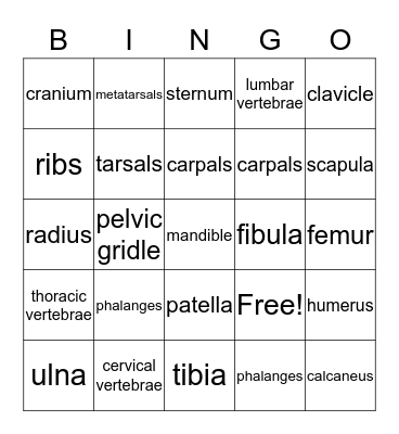 Skeletal System Bingo Card