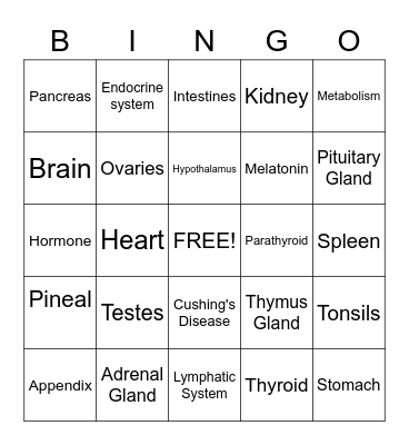 Endocrine and Lymphatic System Bingo Card