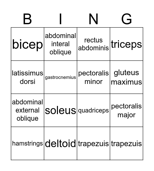 Muscular System Bingo Card