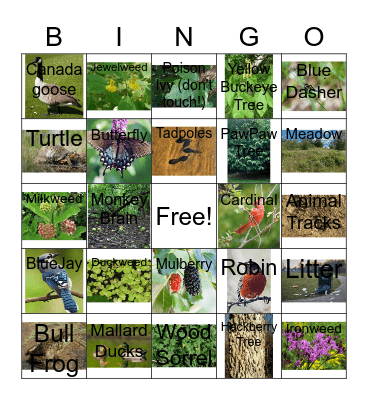 Burnet Woods Bingo Card