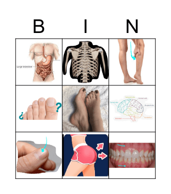 The Body Bingo Card