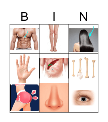 The Body Bingo Card