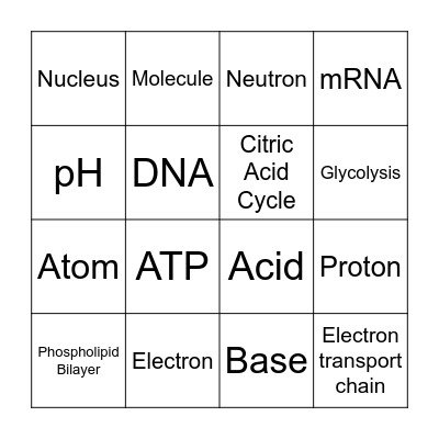 Science Bingo Card