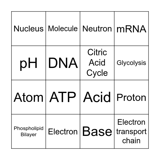 Science Bingo Card