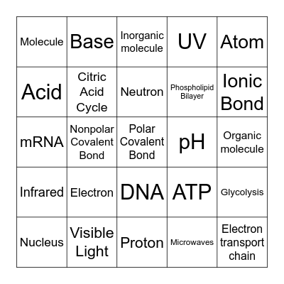 Science Bingo Card