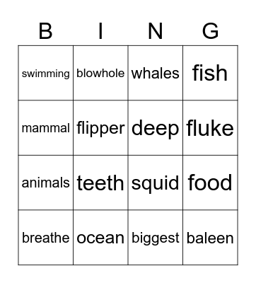 Whales Bingo Card