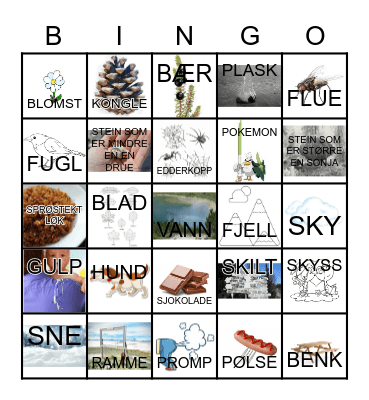 UT PÅ TUR, ALDRI SUR Bingo Card