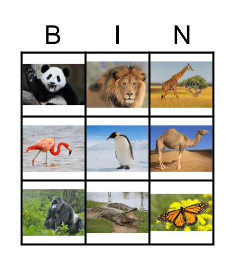 Zoo Animals Bingo Card