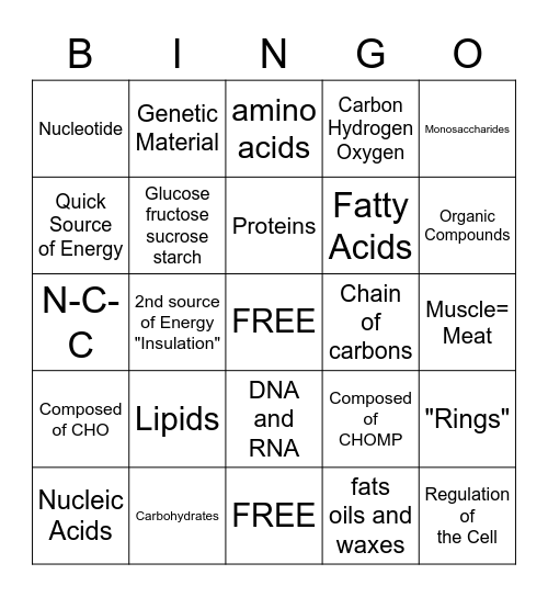 Biomolecules Bingo Card